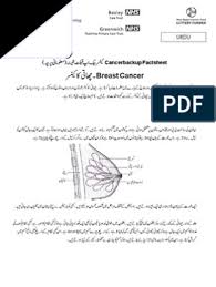 An idc diagnosis indicates that the abnormal cancer cells that. Breast Cancer What Is It Cancer Backup Urdu Hormone Replacement Therapy Breast Cancer