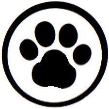 Image result for Rhaptopetalum evrardii