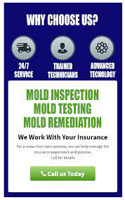 Mold Inspections Testing And Mold Remediation New England
