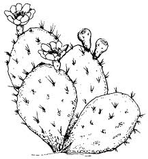 Showing 12 coloring pages related to cat beware. Beware Of Cactus Thorn Coloring Pages Best Place To Color
