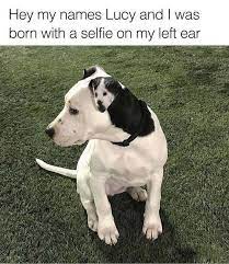 Even though each species has its own distinct looks and characteristics. Fun Trivia Questions Quizzes And Personality Tests Cute Animals Baby Animals Funny Cute Baby Animals
