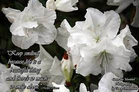 White Azaleas Savor The Moment Photography By Tracy Immordino Quotes White Azalea In This Moment Photography