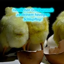 Https Www Xn Glckwnsche Sprche 32bdj De Geburtstagsbilder Html