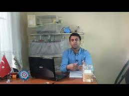 Muhabbet Kusum Yem Yemiyor Su Icmiyor Otmuyor Sebebleri Youtube
