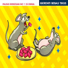 Bukan itu sahaja, malah melihatnya juga sudah menggelikan. Pembasmi Tikus Berkesan Sangat Posts Facebook