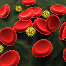 Neutrofile scazute si limfocite crescute. Interpretare Analize De Sange Infectiile