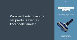Presque toutes les catégories de produits peuvent être vendues sur cdiscount marketplace ! Comment Mieux Vendre Ses Produits Avec Les Facebook Canvas Pellerin Formation