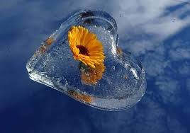 J'ai hâte de te revoir. Bonne Soiree Bonne Nuit Bisous La Citation Du Jour Facebook