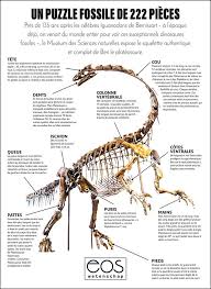 Le quokka a un atout charme : Rbinsmuseum On Twitter Telechargez Et Imprimez Le Poster De Ben Le Plateosaure Https T Co V2naq0rgo1 Plateosaurus Plateoteam