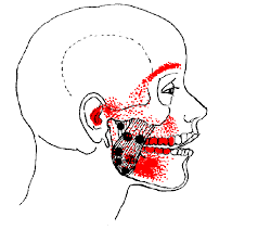 Pin Na Doske Osteopatiya