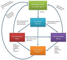 Environmental Health Wikipedia