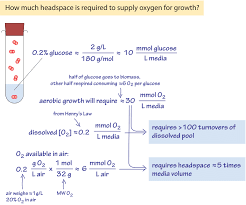 What Are Environmental O2 And Co2 Concentrations