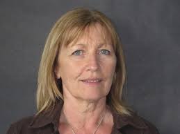 THE STONEHENGE SCHOOL NEWSLETTER