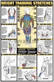 workout stretches poster by bruce algra fitness workout