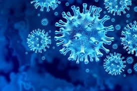White House coronavirus task force encourages Iowa universities to increase  testing - The Daily Iowan