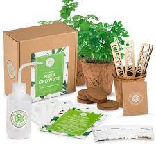 Indoor Herb Garden Grow Kit Indoor Garden Kit Includes 4 Organic Herb Seeds Basil Parsley Chives And Cilantro Organic Soil Wafers Planting Pots And Plant Markers Walmart Com Walmart Com