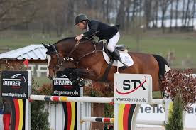 Alla vet vad som behöver göras och de har gjort det tidigare. Rolf Goran Bengtsson Und Ermindo W Galoppieren Im Grossen Preis Beim Csi2 In Westergellersen Allen Davon Spring Reiter De