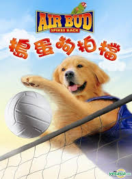 Watch air bud 4k for free. Yesasia Air Bud Spikes Back Dvd Hong Kong Version Dvd Mike Southon Cn Entertainment Ltd Western World Movies Videos Free Shipping North America Site