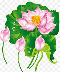 Official facebook page of lotus cars. Lotuss Leaf Png Images Pngwing