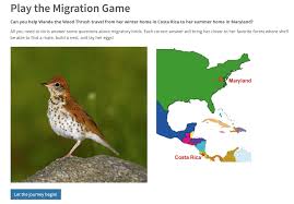 Why Do Birds Fly South For The Winter Biology Pin On Children S Online Birding Nature Festival