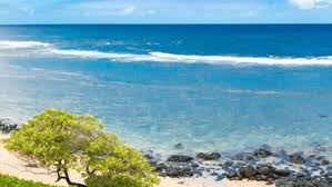 It is named after l. Larsens Beach Kaakaaniu Beach Beaches On Kauai Kilauea Hawaii