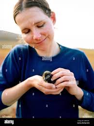 San benitos island baja mexico hi-res stock photography and images