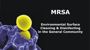 We did not find results for: Mrsa Environmental Surface Cleaning Disinfecting In The General Community Youtube