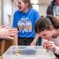 BEE Curious: Explore STEAM at SAU
