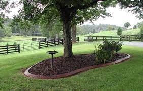 Path lights can be placed around the border of the. Landscaping Around Trees Yard Surfer