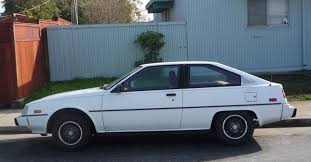 Image result for Cordia