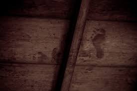 May 03, 2019 · a blood clot in the leg can cause swelling, red skin, and warmth in the surrounding area. The Blood Stained Ceilings Of Kyoto S Temples Amusing Planet