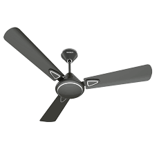 This understated matte black fan will simply fade into the background. Decorative Ceiling Fans With Metallic Finish Design Havells India