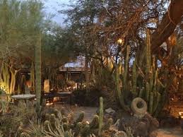 2 cactus garden dr, henderson, nv 89014. Wonderful Cactus Garden Picture Of Bedillon S Restaurant Cactus Garden Casa Grande Tripadvisor