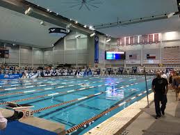 What Makes A Pool Fast Swimming World News