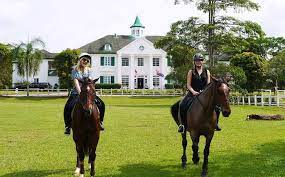 Rda malaysia is looking for volunteers to help. Top 8 Horse Riding In Johor 8 Destinations