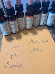 Izinkan saya huraikan kepentingan yang diambil dalam produk minyak lintah gunung tok ayah ini. Bach Flower Remedy Blend Health Nutrition Health Supplements Health Food Drinks Tonics On Carousell