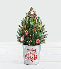 Online florist · #1 ftd florist delivers flowers anywhere in canada & united states. Flowers Online Ftd Com Send Flowers Plants Gifts Same Day Flower Delivery Christmas Plants Gifts Online Flower Delivery Christmas Plants