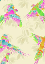 Matthew Williamson Birds Of Paradise Wallpaper Birds Of Paradise The Eden Collection Matthew Williamson S Wallpaper Collaboration With Osbourne Little Harrodsin Bird Prints Hand Painted Print Patterns