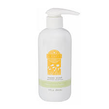This mix makes cactus juice a refreshing smell that will welcome summer to your house. White Tea Cactus Scentsy Hand Soap Shop Scentsy Incandescent Scentsy Us