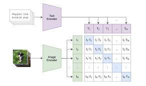 对比学习在有赞的应用