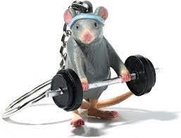 Gym Rat Keychain, Weightlifting Keychain, Gym Keychain, Workout Keychain,  Bodybuilding Keychain, Weightlifting Gifts at Amazon Men's Clothing store