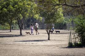2. Nate’s Point Off-Leash Dog Park – Balboa Park