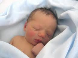 Birth: Noah Everett Terauchi