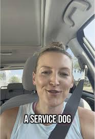 What Happened to The Grayson The Dog Videos