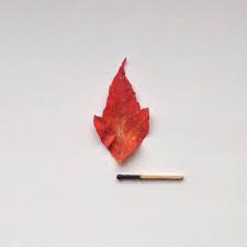 Pinterest Pandeamonium Firewatch Flame Princess Frank Zhang