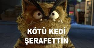 Nigar In 70 Gunu Kedi Romanlar