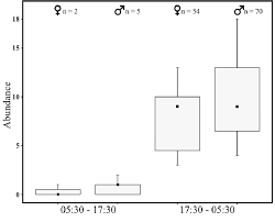 Vinícius josé paixão de oliveira júnior. Diel Activity Of Oxelytrum Discicolle Abundance Of Adults At Download Scientific Diagram