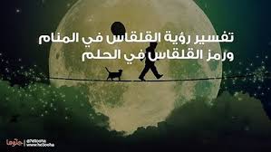 تفسير حلم القسم على المصحف للعزباء : Ø§Ø­ØªÙƒØ§Ùƒ Ø¯Ù… ÙˆØ¨Ø§Ù„ØªØ§Ù„ÙŠ ØªÙØ³ÙŠØ± Ø­Ù„Ù… ÙØ³ØªØ§Ù† Ø´ÙØ§Ù Portiefilmfest Com