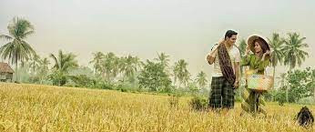 Wedding di sawah zahraa photo video by saiful black. Ide Populer Untuk Konsep Prewedding Di Sawah Gallery Pre Wedding