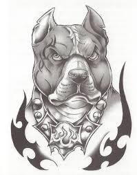 Pin By Analia Jesica Rodriguez On My Stuff Pitbull Tattoo Bull Tattoos Realistic Temporary Tattoos